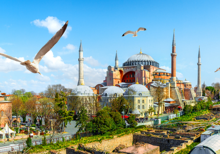 travel to istanbul turkey for hair transplant